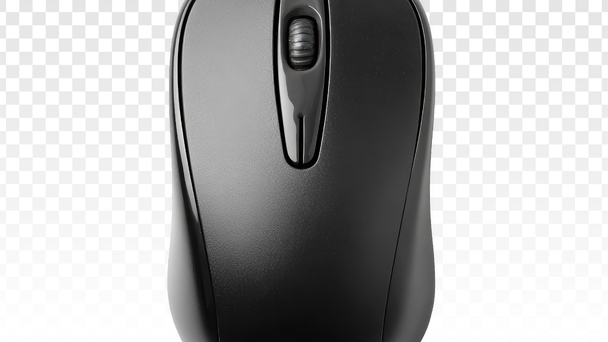 Mouse